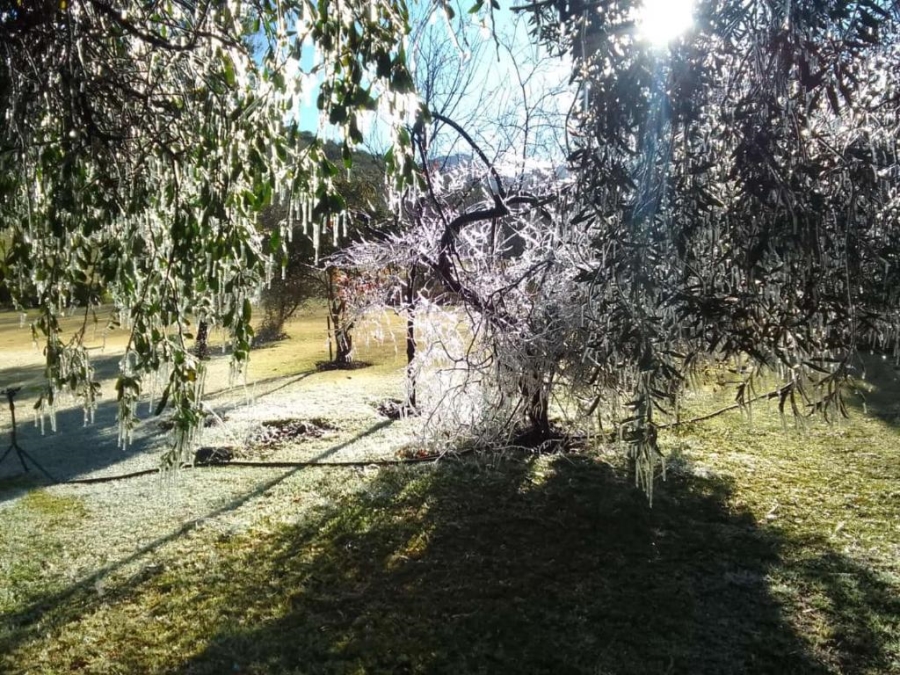 9 Bedroom Property for Sale in Oudtshoorn Rural Western Cape